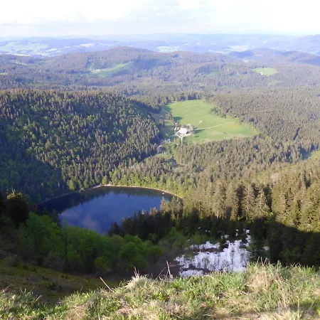 Schwarzwaldschick - Wandern & Biken Ab Haustuer - Fuer Naturbegeisterte & Schwarzwald-fans - Mit Whirlwanne Lägenhet *