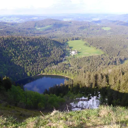Schwarzwaldschick I Direkt An Der Piste I Whirlwanne I Tiefgarage I Skipass Verguenstigt 아파트 *
