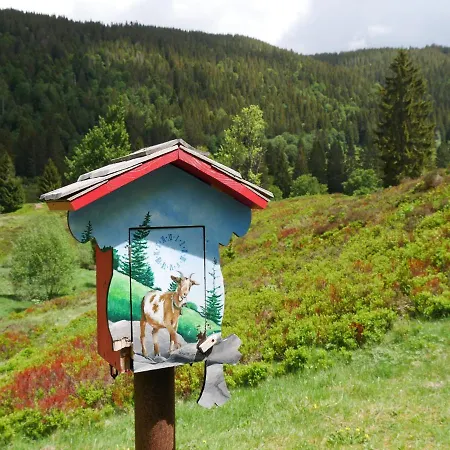 アパート Schwarzwaldschick I Bergurlaub I Balkon I Whirlwanne I Tiefgarage I Hochschwarzwaldcard Inkl