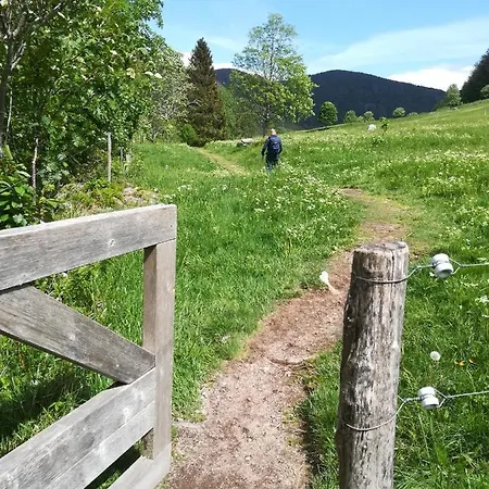 Apartment Schwarzwaldschick - Wandern & Biken Ab Haustuer - Fuer Naturbegeisterte & Schwarzwald-fans - Mit Whirlwanne *