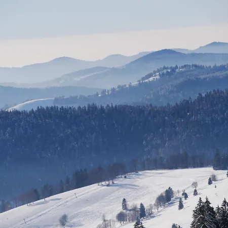 Apartment Schwarzwaldschick - Wandern & Biken Ab Haustuer - Fuer Naturbegeisterte & Schwarzwald-fans - Mit Whirlwanne *