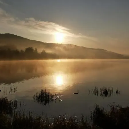 Fewo Schwarzwaldschick Feldberg I Direkt An Der Piste I Whirlwanne I Tiefgarage I Skipass Verguenstigt *