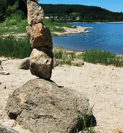 Schwarzwaldschick I Direkt An Der Piste I Whirlwanne I Tiefgarage I Skipass Verguenstigt * 펠트베르크