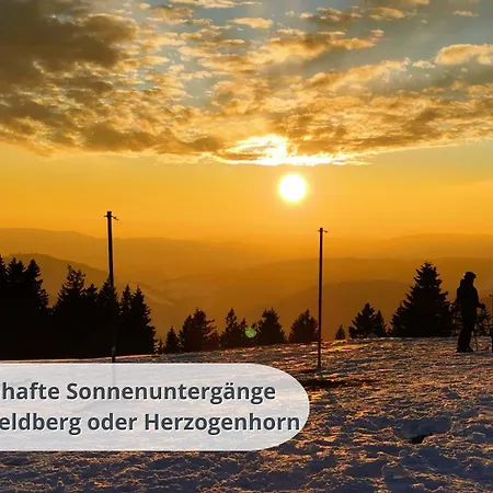 Schwarzwaldschick I Direkt An Der Piste I Whirlwanne I Tiefgarage I Skipass Verguenstigt *