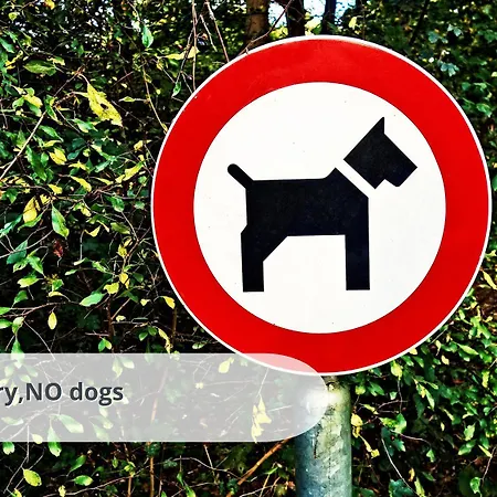 아파트 Schwarzwaldschick I Direkt An Der Piste I Whirlwanne I Tiefgarage I Skipass Verguenstigt *