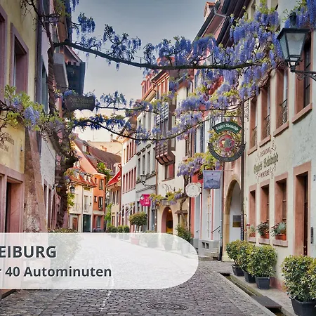 아파트 Schwarzwaldschick I Direkt An Der Piste I Whirlwanne I Tiefgarage I Skipass Verguenstigt 펠트베르크