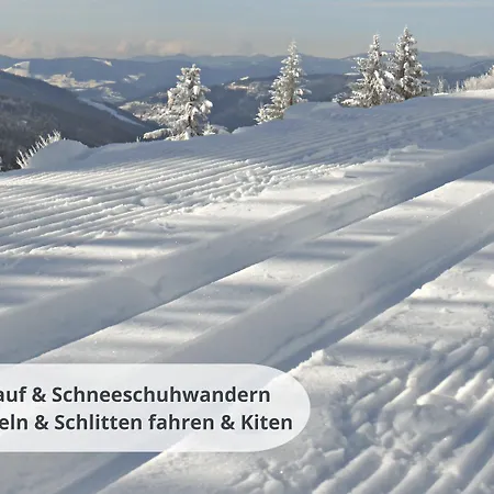 Schwarzwaldschick - Wandern & Biken Ab Haustuer - Fuer Naturbegeisterte & Schwarzwald-fans - Mit Whirlwanne Lägenhet Feldberg (Baden-Wurttemberg)