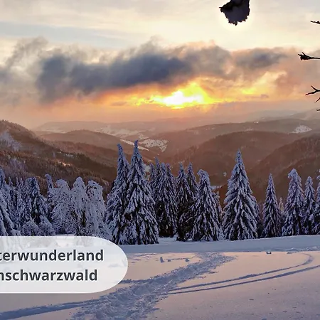 Schwarzwaldschick I Direkt An Der Piste I Whirlwanne I Tiefgarage I Skipass Verguenstigt 펠트베르크