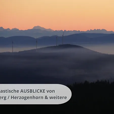 Schwarzwaldschick I Direkt An Der Piste I Whirlwanne I Tiefgarage I Skipass Verguenstigt 아파트 *