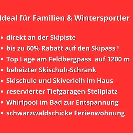 Schwarzwaldschick I Direkt An Der Piste I Whirlwanne I Tiefgarage I Skipass Vergünstigt * Feldberg (Baden-Wurttemberg)
