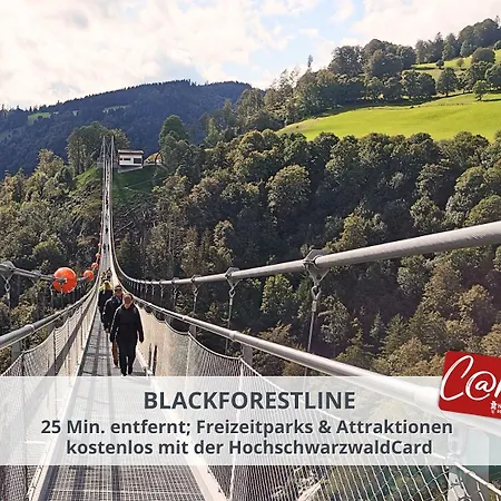 Schwarzwaldschick I Direkt An Der Piste I Whirlwanne I Tiefgarage I Skipass Vergünstigt *