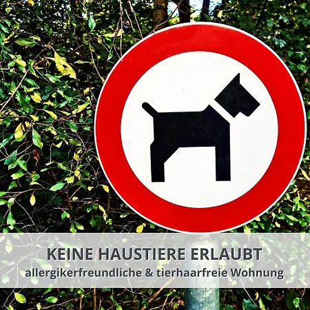 Schwarzwaldschick I Direkt An Der Piste I Whirlwanne I Tiefgarage I Skipass Vergünstigt * Feldberg (Baden-Wurttemberg)