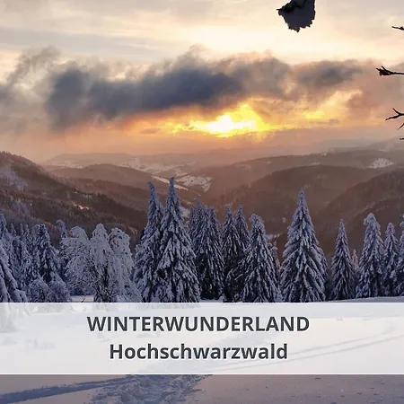 Lejlighed Schwarzwaldschick I Bergurlaub I Balkon I Whirlwanne I Tiefgarage I Hochschwarzwaldcard Inkl *