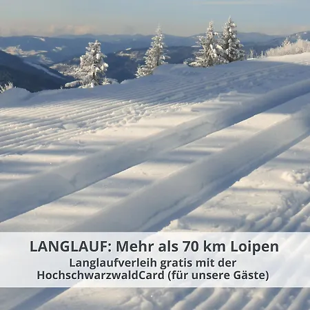 Schwarzwaldschick I Bergurlaub I Balkon I Whirlwanne I Tiefgarage I Hochschwarzwaldcard Inkl Feldberg (Baden-Wurttemberg)