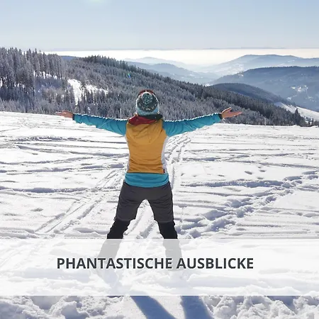 Schwarzwaldschick I Direkt An Der Piste I Whirlwanne I Tiefgarage I Skipass Vergünstigt Feldberg (Baden-Wurttemberg)