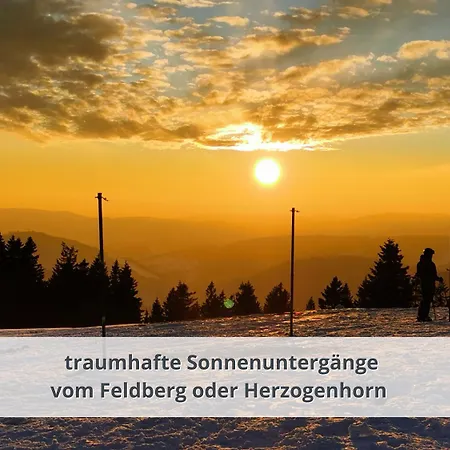 Schwarzwaldschick I Direkt An Der Piste I Whirlwanne I Tiefgarage I Skipass Vergünstigt * Feldberg (Baden-Wurttemberg)