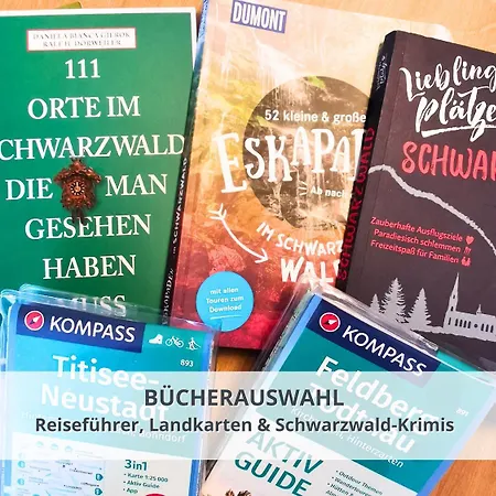 Schwarzwaldschick I Bergurlaub I Balkon I Whirlwanne I Tiefgarage I Hochschwarzwaldcard Inkl Feldberg (Baden-Wurttemberg)