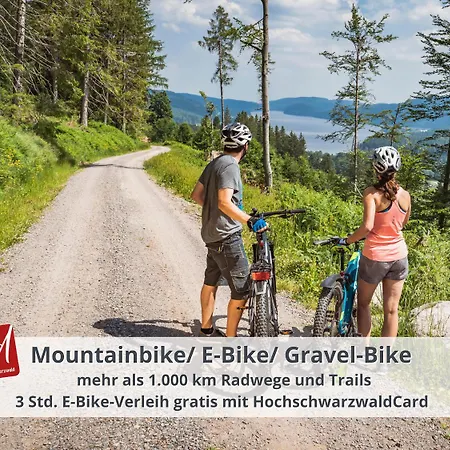 Schwarzwaldschick I Bergurlaub I Balkon I Whirlwanne I Tiefgarage I Hochschwarzwaldcard Inkl Lejlighed