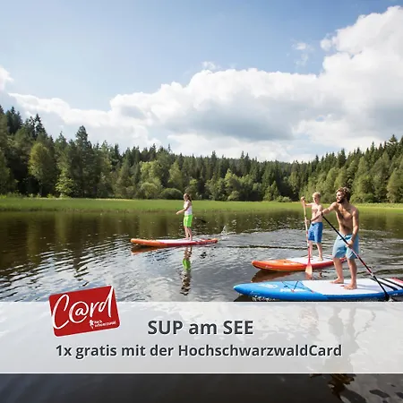Apartment Schwarzwaldschick I Direkt An Der Piste I Whirlwanne I Tiefgarage I Skipass Vergünstigt Feldberg (Baden-Wurttemberg)
