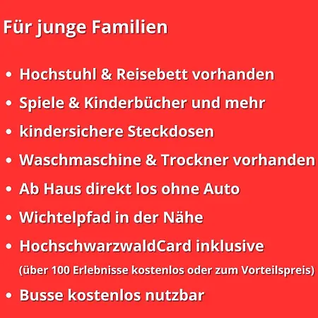 Schwarzwaldschick I Direkt An Der Piste I Whirlwanne I Tiefgarage I Skipass Vergünstigt Apartment *