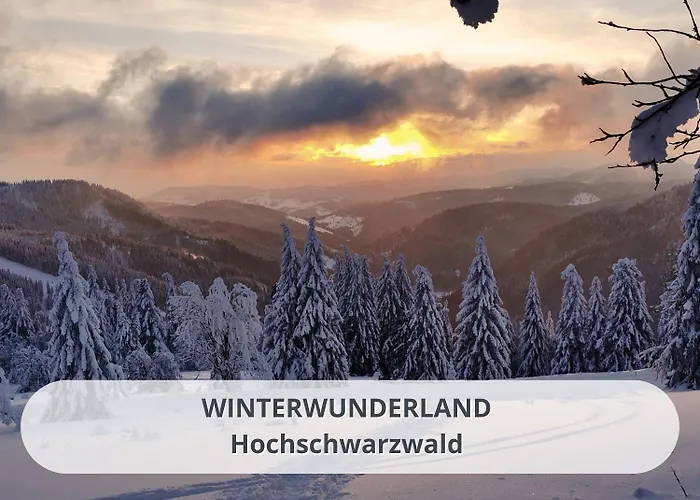 Lägenhet Schwarzwaldschick I Direkt An Der Piste I Whirlwanne I Tiefgarage I Skipass Verguenstigt *